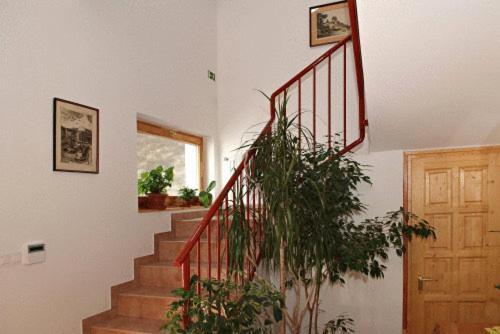Liszt Apartman Pécs Esterno foto